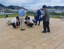 添付画像
