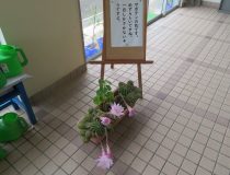 添付画像