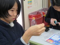 添付画像