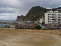 添付画像