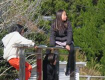 添付画像