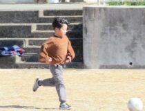 添付画像