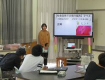 添付画像