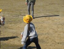 添付画像