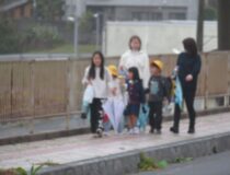 添付画像