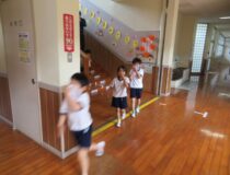 添付画像