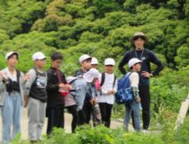 添付画像