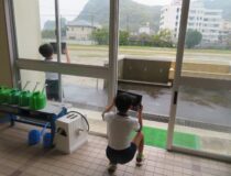 添付画像