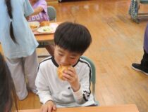 添付画像
