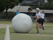 添付画像