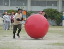 添付画像