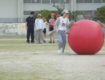 添付画像