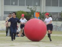 添付画像
