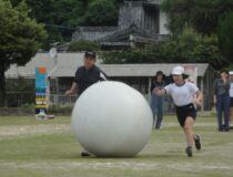 添付画像