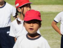 添付画像