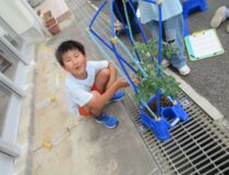 添付画像