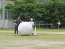 添付画像