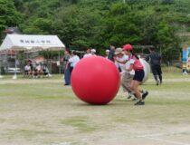 添付画像