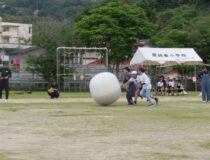添付画像