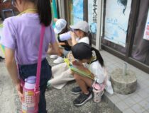 添付画像