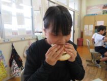 添付画像