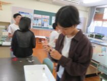 添付画像