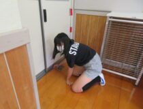 添付画像
