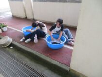 添付画像