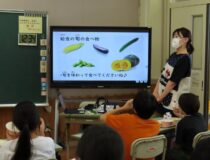 添付画像