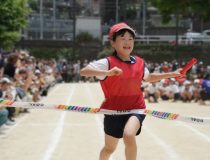添付画像