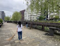 添付画像