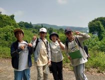 添付画像