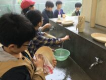 添付画像