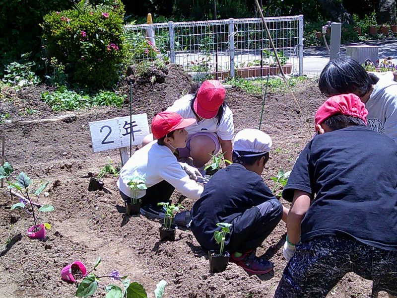 学級園の画像