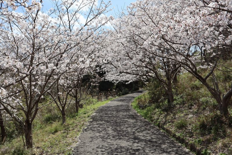 手熊小学校　最後の1年の始まりの画像