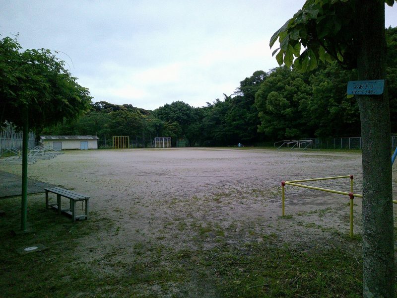 最後の運動会①の画像