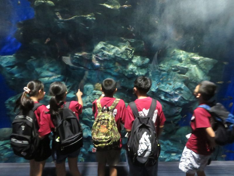 5人の修学旅行の画像