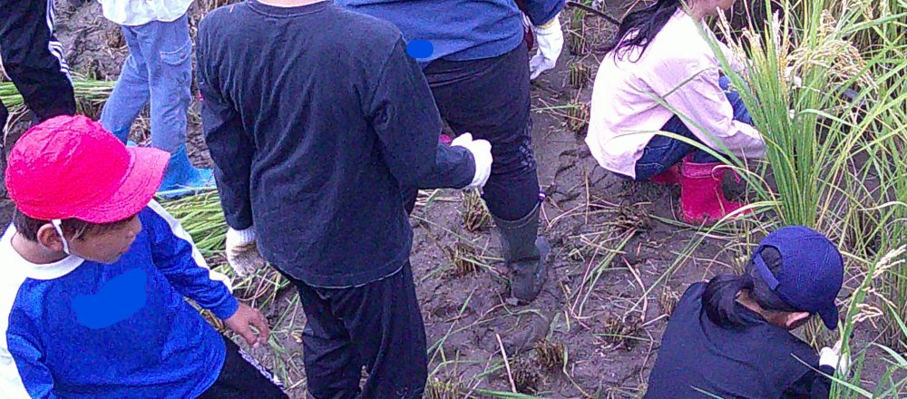 メインビジュアル