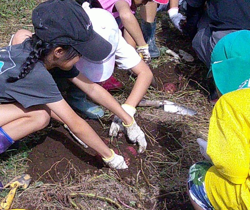 なかよし てぐま こうりゅうかいの画像