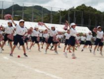 添付画像