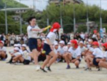 添付画像