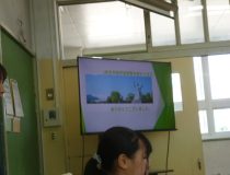 添付画像