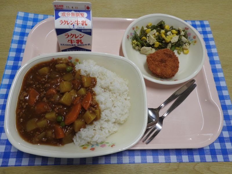 6/6 アサガオも大きくなっていますの画像