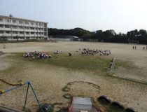 添付画像