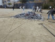 添付画像