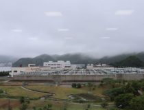 添付画像