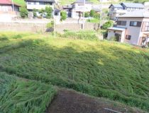 添付画像