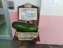 添付画像