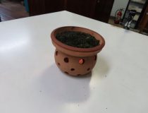 添付画像