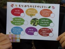 添付画像